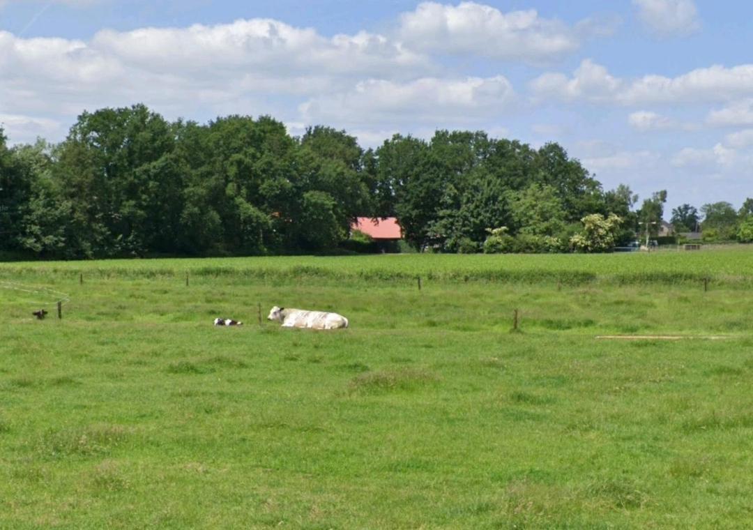 Bed & Breakfast Boekel Extérieur photo